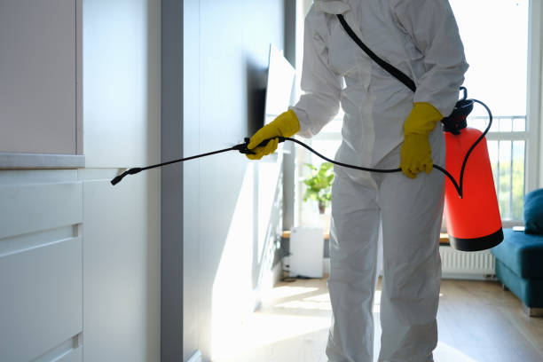 Best Mold Removal Company Near Me  in Oakhurst, NJ