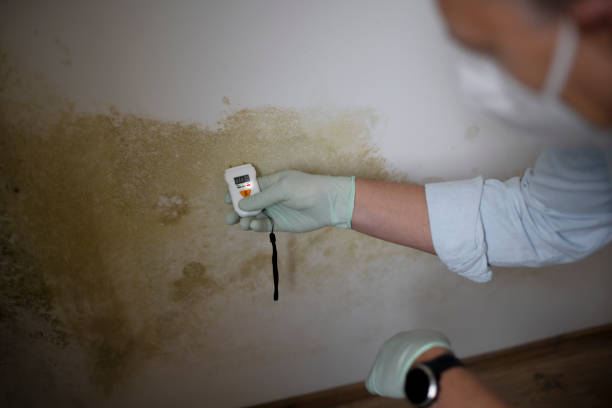 Best Crawl Space Mold Removal  in Oakhurst, NJ