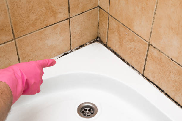 Best Crawl Space Mold Removal  in Oakhurst, NJ